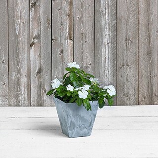 Foto 3 | Foto 3 | Maceta Novelty Artstone Ella Cuadrada Gris 20 Cm - Venta Internacional.