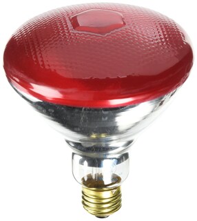 Foto 1 | Foto 1 | Bombilla Westinghouse 0441000 Br38 100 W 120 V Roja - Venta Internacional.