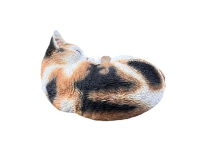 Foto 3 | Foto 3 | Calicó Para Dormir Con Gato Figurine Hi-line Gift Ltd. Para Exteriores - Venta Internacional.
