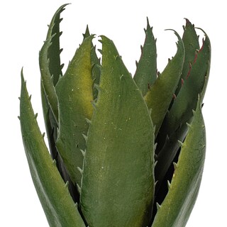 Foto 2 | Foto 2 | Pico De Aloe Vera Verde Vickerman De 23 Cm Para Plantas Artificiales 3 Unidades - Venta Internacional.