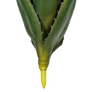 Foto 3 | Foto 3 | Pico De Aloe Vera Verde Vickerman De 23 Cm Para Plantas Artificiales 3 Unidades - Venta Internacional.