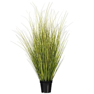 Foto 1 | Foto 1 | Hierba En Maceta Vickerman Tn252336 91 Cm Verde Y Marrón - Venta Internacional.