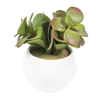 Foto 4 | Foto 4 | Set De 3 Macetas Blancas Para Suculentas Artificiales Vickerman 13 Cm - Venta Internacional.