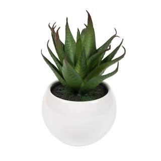 Foto 5 | Foto 5 | Set De 3 Macetas Blancas Para Suculentas Artificiales Vickerman 13 Cm - Venta Internacional.