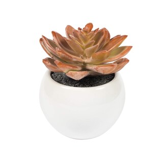 Foto 7 | Foto 7 | Set De 3 Macetas Blancas Para Suculentas Artificiales Vickerman 13 Cm - Venta Internacional.