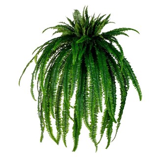 Foto 1 | Foto 1 | Helecho De Boston Artificial De 142 Cm Resistente A Uv Vickerman - Venta Internacional.