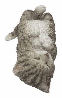 Foto 4 | Foto 4 | Figura Hi-line Gift Ltd Sleeping Cat Color Gris Realista - Venta Internacional.