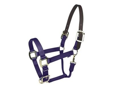 Foto 1 | Foto 1 | Cabestro Para Caballos Gatsby Gold Nailon Breakaway Color Morado - Venta Internacional.
