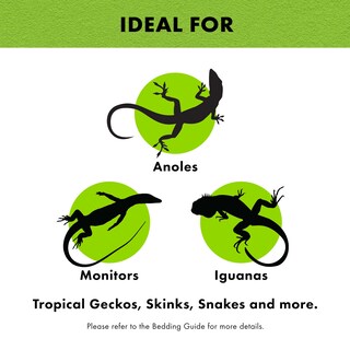 Foto 4 | Foto 4 | Forro De Suelo Terrarium Bedding Zilla 40br/50g Color Verde - Venta Internacional.