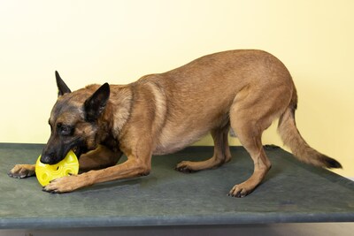 Foto 5 | Foto 5 | Juguete Para Mascotas Starmark Treat Ringer Flexgrip Ufo Medium - Venta Internacional.