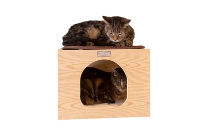 Foto 4 | Foto 4 | Árbol De Pared Para Gatos Armarkat W1907a Con Condominio Y Percha 43 X 30 Cm - Venta Internacional.