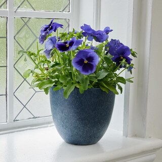 Foto 2 | Foto 2 | Maceta Root & Vessel Bola Color Azul Marino 28 Cm Con Riego Automático - Venta Internacional.