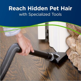 Foto 2 | Foto 2 | Aspirador Bissell Teal Rewind Pet Giratorio Para Mascotas