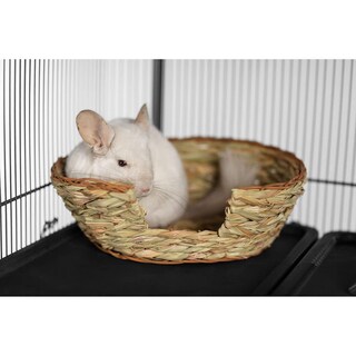 Foto 2 | Foto 2 | Césped Natural Pet Nest Prevue Hendryx Ovalado Tejido Mediano - Venta Internacional.