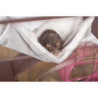 Foto 7 | Foto 7 | Productos De Repuesto Para Mascotas Hammock Prevue Para Jaulas Para Gatos 7500 Y 7501 - Venta Internacional.