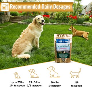 Foto 4 | Foto 4 | Suplemento Life Line Pet Nutrition Organic Ocean Kelp 240 Ml - Venta Internacional.