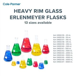 Foto 4 | Foto 4 | Frasco Erlenmeyer De Vidrio De Laboratorio Cole-parmer 6000 Ml - Venta Internacional.