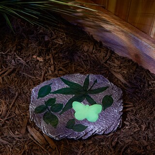 Foto 5 | Foto 5 | Sendero De Jardín Stepping Stone Accent Plus Con Mariposas Brillantes - Venta Internacional.