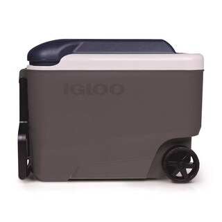Foto 1 | Foto 1 | Enfriador Enrollable Igloo Maxcold Grey 37 L (40 Cuartos De Galón) - Venta Internacional.