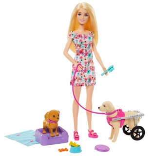Foto 1 | Foto 1 | Barbie Paseo Con Perrito En Silla De Ruedas Htk37