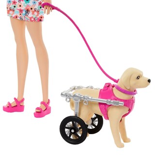 Foto 2 | Foto 2 | Barbie Paseo Con Perrito En Silla De Ruedas Htk37