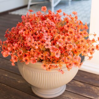 Foto 7 | Foto 7 | Plantas Artificiales Y Flores Para Decoración De Otoño Al Aire Libre - Venta Internacional.