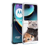Funda De Teléfono Bcov Para Motorola Razr 2024  Antiarañazos  Lindos Gatos - Venta Internacional.