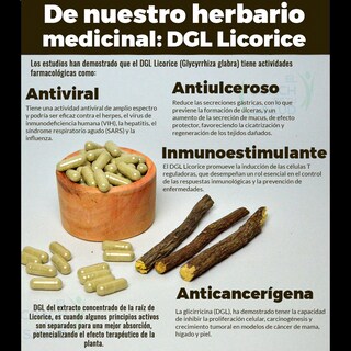 Foto 5 | Foto 5 | Dgl Licorice Regaliz Orgánico 120 Cápsulas 450 Mg Boticaté