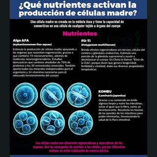 Foto 5 | Foto 5 | Activador De Celulas Madre Alga Afa Y Fo Ti 60 Caps Boticaté