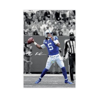 Foto 1 | Foto 1 | Póster Sobre Lienzo Qunan Sports Poster Anthony Richardson 30 X 45 Cm - Venta Internacional.