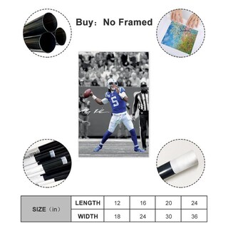 Foto 2 | Foto 2 | Póster Sobre Lienzo Qunan Sports Poster Anthony Richardson 30 X 45 Cm - Venta Internacional.