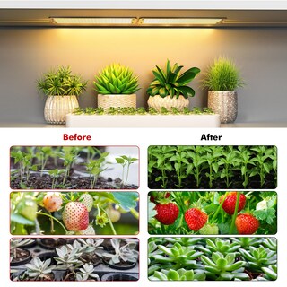 Foto 6 | Foto 6 | Panel De Luz Led De Cultivo De Espectro Completo Para Plantas De Interior  Paquete De 4 - Venta Internacional.