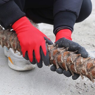 Foto 5 | Foto 5 | Guantes Protectores Evridwear Xl Con Recubrimiento Texturizado De Látex 120 Pares Rojo - Venta Internacional.