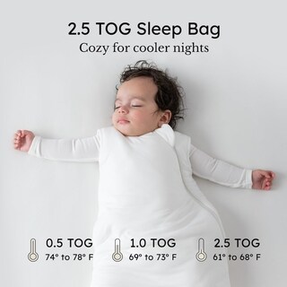 Foto 4 | Foto 4 | Saco De Dormir Kyte Baby Xl 2.5 Tog Rayon Bamboo Sage - Venta Internacional.