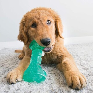 Foto 2 | Foto 2 | Bola Dental Dog Toy Kong Squeezz Para Limpiar Los Dientes - Venta Internacional.