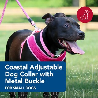 Foto 2 | Foto 2 | Collar Para Perro Coastal Con Hebilla Metálica Ajustable Rosa 2 Cm 25-36 Cm - Venta Internacional.