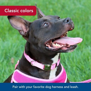 Foto 6 | Foto 6 | Collar Para Perro Coastal Con Hebilla Metálica Ajustable Rosa 2 Cm 25-36 Cm - Venta Internacional.