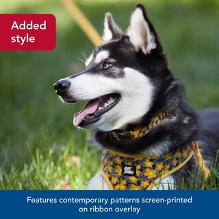 Foto 4 | Foto 4 | Collar Para Perro Con Cinta Costera Y Rayas De Flamencos Rosas Ajustables - Venta Internacional.
