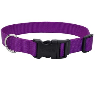 Foto 1 | Foto 1 | Collar Para Perro Coastal Con Hebilla De Plástico Ajustable Color Morado 2 5 X 35-51 Cm - Venta Internacional.