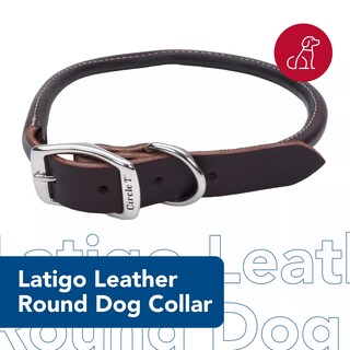 Foto 2 | Foto 2 | Collar Para Perro Coastal Circle T Latigo Leather 1 9 Cm X 51 Cm - Venta Internacional.