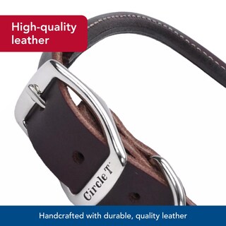 Foto 3 | Foto 3 | Collar Para Perro Coastal Circle T Latigo Leather 1 9 Cm X 51 Cm - Venta Internacional.