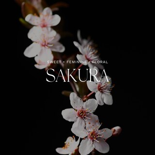 Foto 3 | Foto 3 | Difusor De Aromas Antica Farmacista Sakura 250 Ml Reed - Venta Internacional.