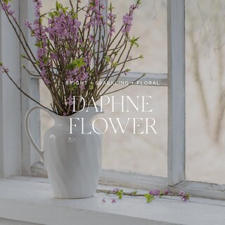 Foto 5 | Foto 5 | Difusor De Caña Antica Farmacista Daphne Flower 250 Ml - Venta Internacional.