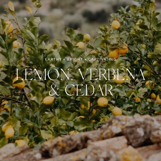 Foto 5 | Foto 5 | Difusor De Ambiente Antica Farmacista Lemon Verbena Cedar - Venta Internacional.