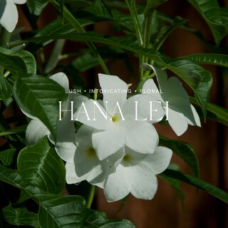 Foto 3 | Foto 3 | Difusor De Aromas Antica Farmacista Hana Lei 500 Ml - Venta Internacional.