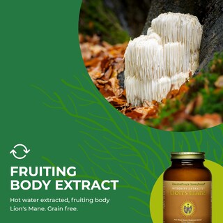 Foto 6 | Foto 6 | Suplemento Healthforce Superfoods Lion's Mane En Polvo De 60 G - Venta Internacional.