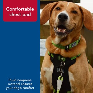 Foto 5 | Foto 5 | Arnés Reflectante Para Perros Coastal K9 Explorer Con Conexión Frontal - Venta Internacional.