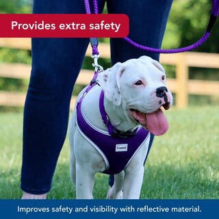 Foto 4 | Foto 4 | Arnés Para Perros Coastal Comfort Suave Reflectante Ajustable Morado - Venta Internacional.