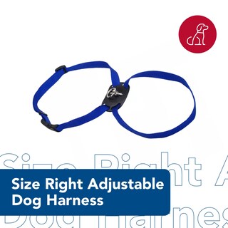 Foto 2 | Foto 2 | Arnés Para Perros Coastal Tamaño Derecho Ajustable Negro 1 9 X 61-76 Cm - Venta Internacional.