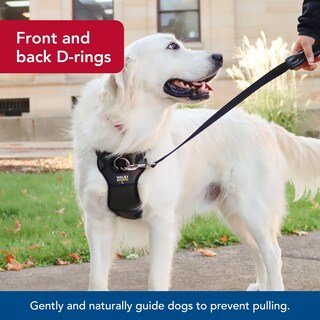 Foto 4 | Foto 4 | Arnés Para Perros Coastal Walk Conexión Frontal Derecha Sin Tirones Rojo M 51 A 76 Cm - Venta Internacional.